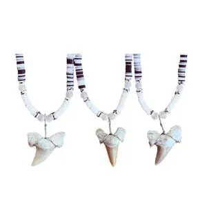 Charming Shark -  Shark Tooth Necklace